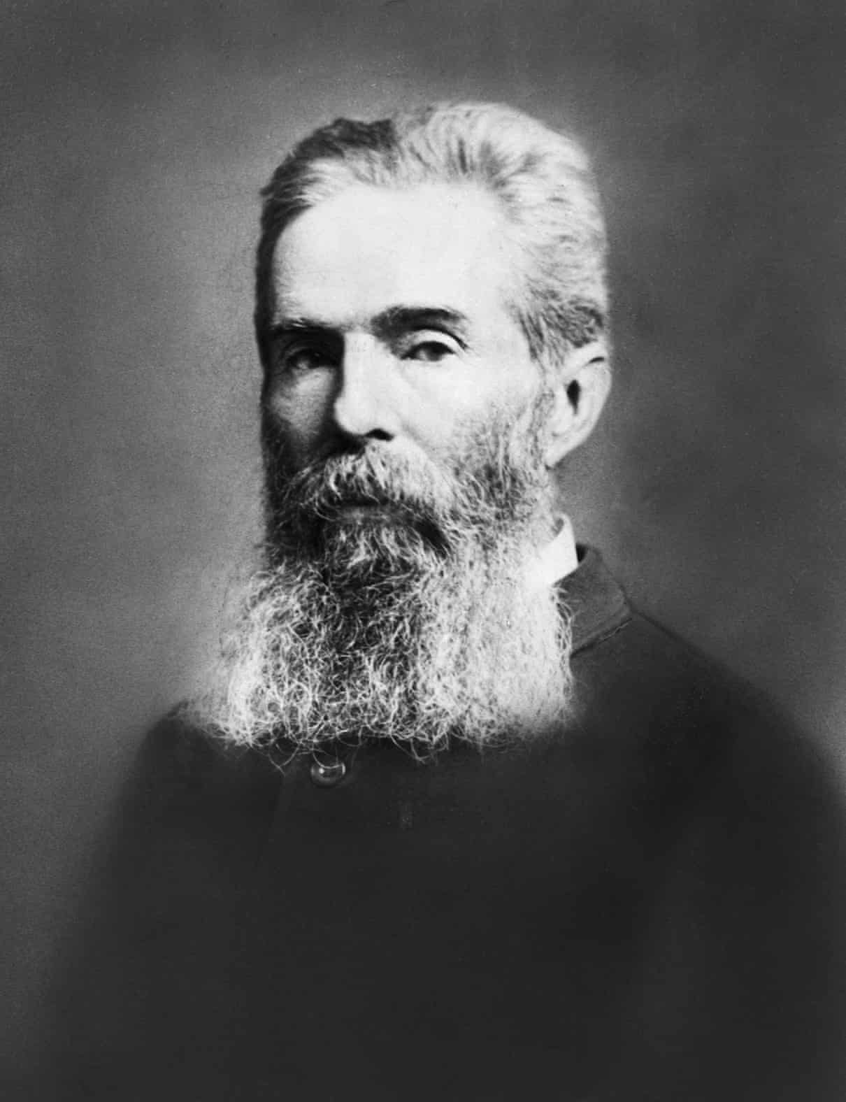 Portrait of Herman Melville Circa 1885