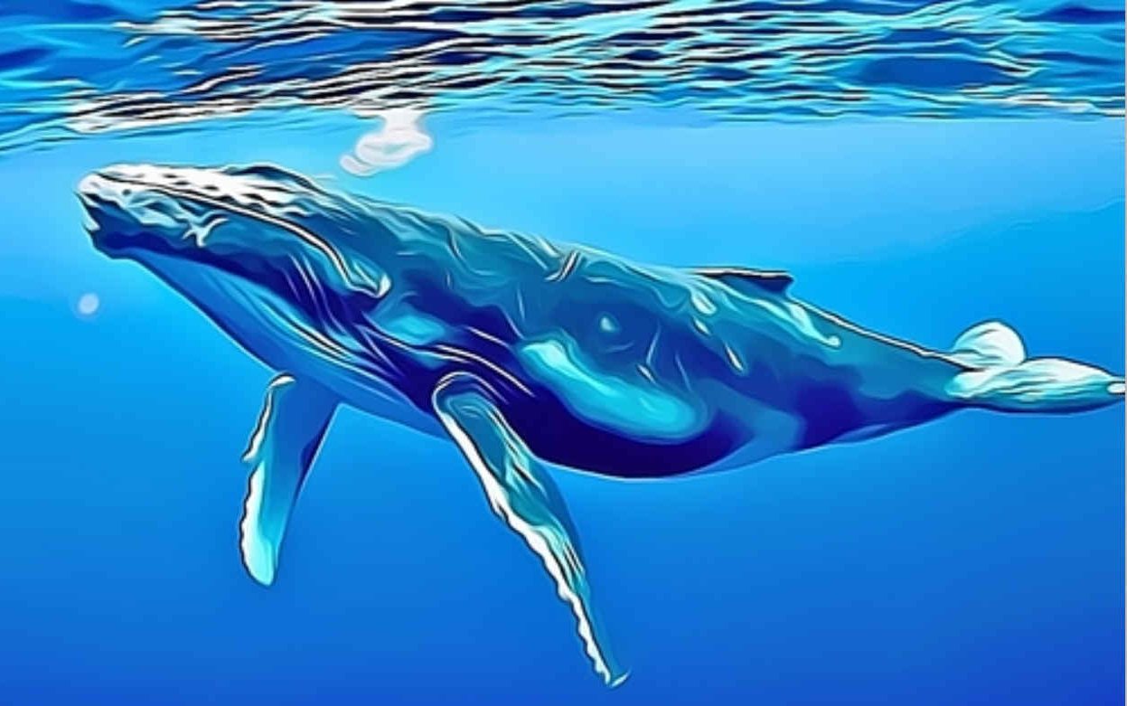 Kulo Luna becomes the $Billion Dollar Whale